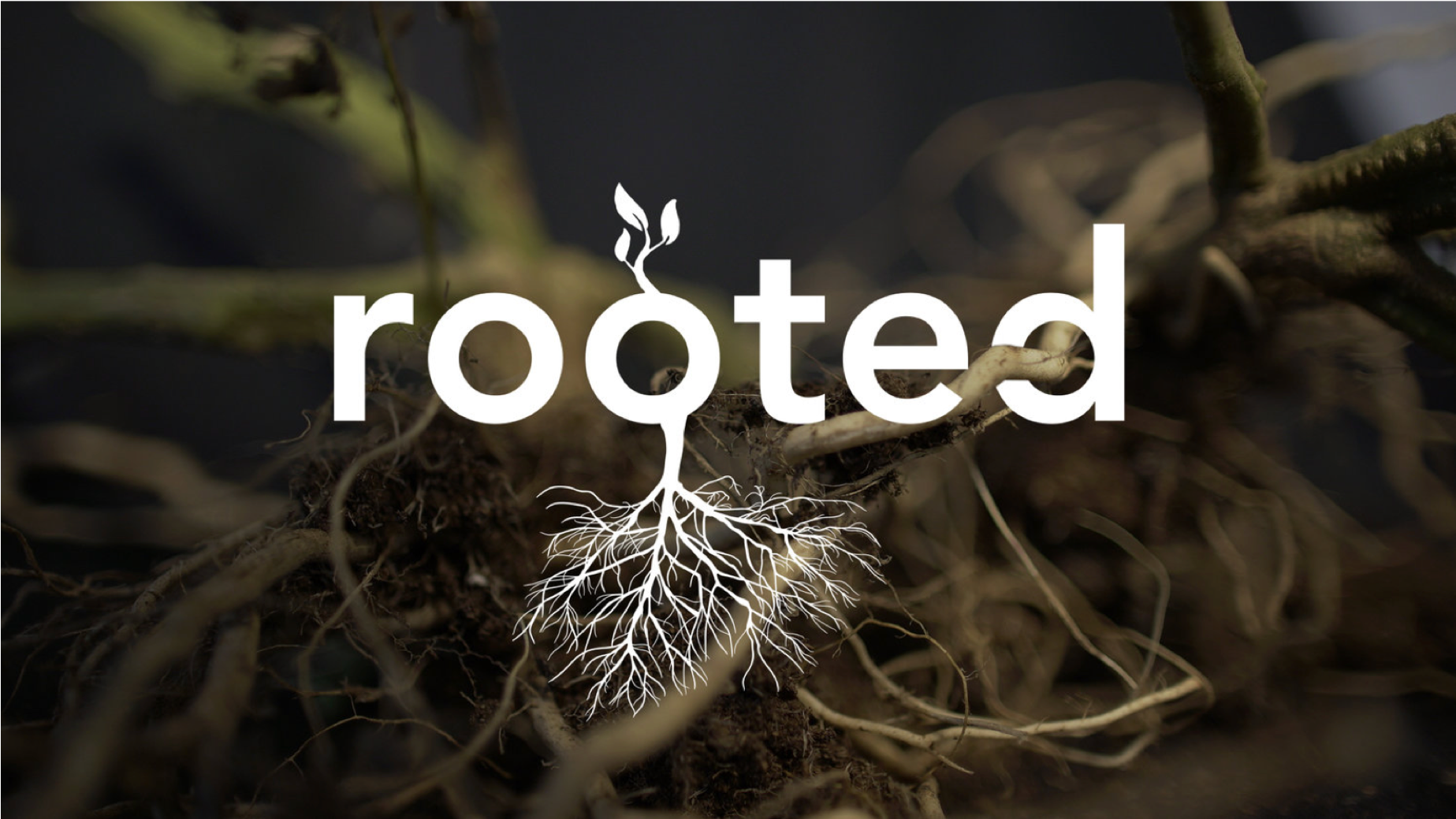 Rooted