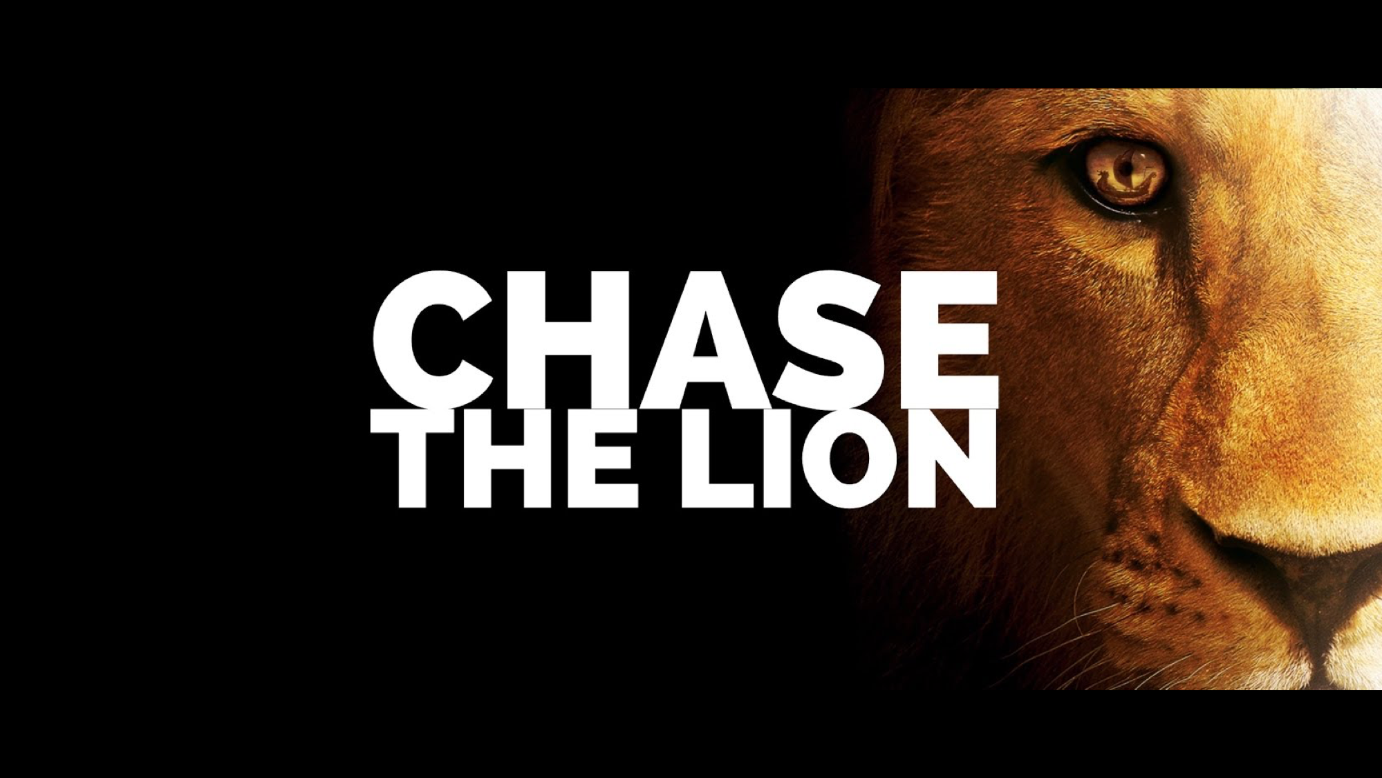 Chase the Lion